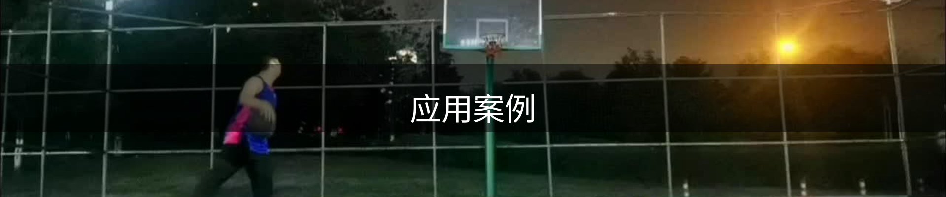 应用案例